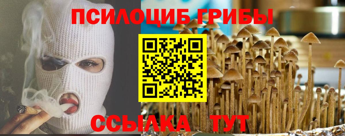 Галлюциногенные грибы Psilocybe  Псилоцибиновые грибы GOLDEN TEACHER  Вход с VPN  Ачхой-Мартан 