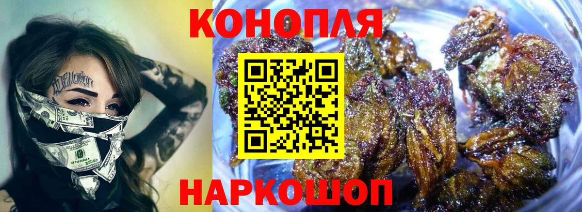 Бошки марихуана план Ачхой-Мартан